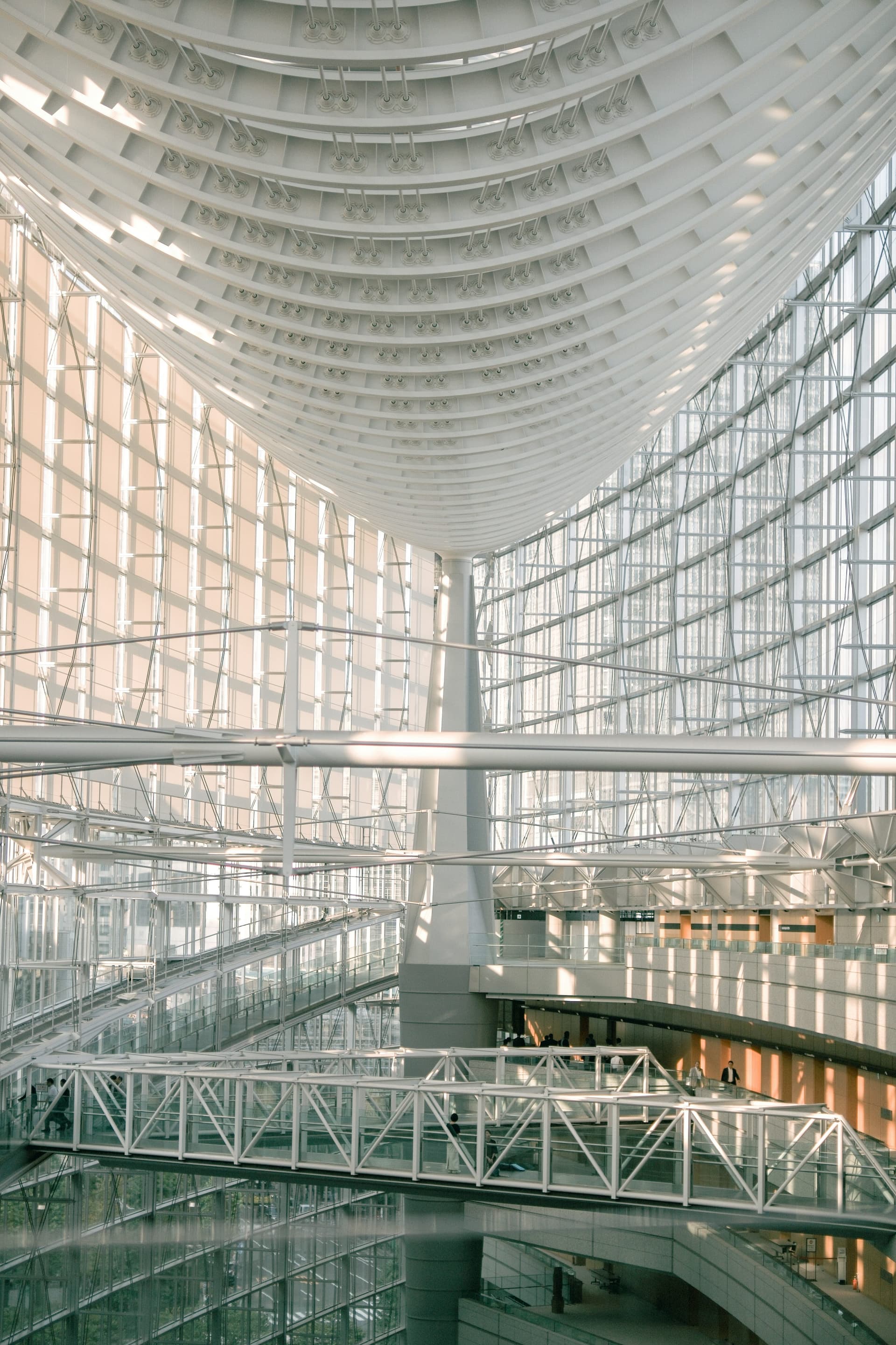 Abstract architectural network of connected lines and nodes